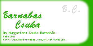 barnabas csuka business card